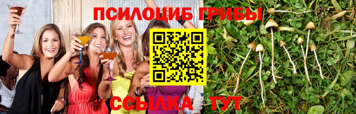 Галлюциногенные грибы GOLDEN TEACHER  Вход с VPN  Урай 